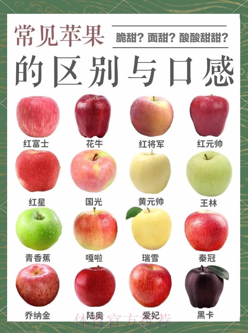 世界杯外围苹果全站精彩解析 世界杯外围苹果全站精彩解析