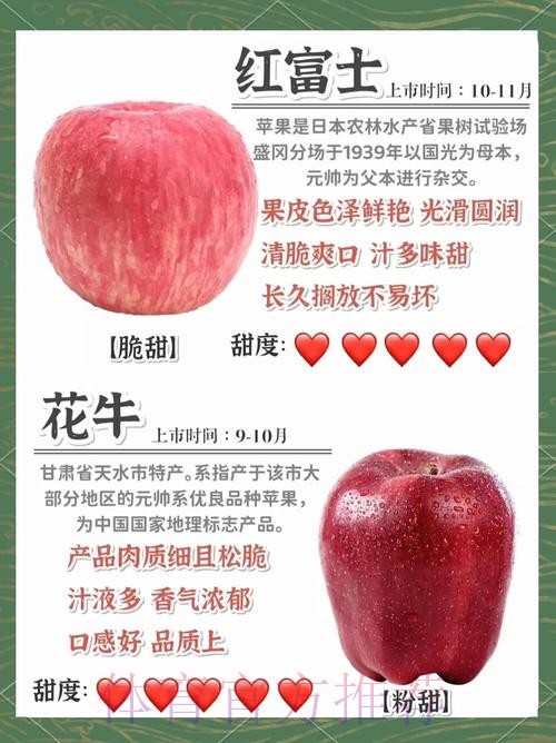 世界杯外围苹果全站精彩解析 世界杯外围苹果全站精彩解析